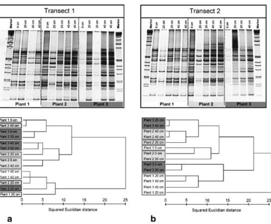 Table 3 Summary of diversity parameters calculated from DGGE banding patterns for samples from three distance classes