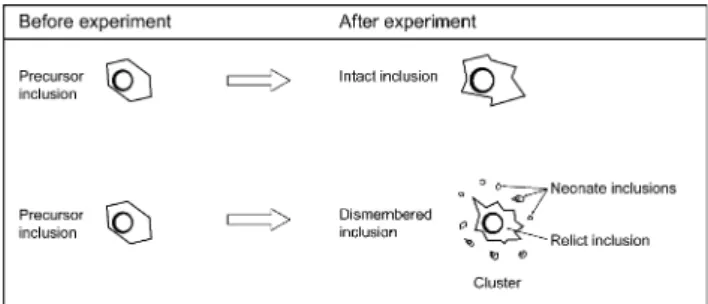 Fig. 4 Nomenclature of fluid inclusions modified by deviatoric stresses