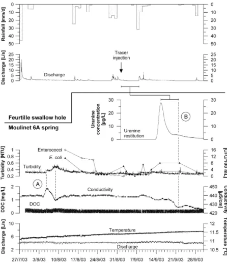 Fig. 4 Dynamics of natural parameters during low-flow conditions at the Moulinet 6A spring (below) and the Feurtille swallow hole (above)