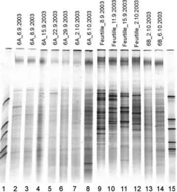 Fig. 6 DGGE fingerprints of the bacterial community at the Feurtille swallow hole (lanes 9–12) and two springs (lanes 2–8: Moulinet 6A;