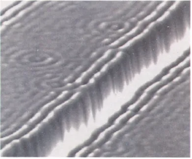 Figure 2.  Spectroscopic  image (dI/dV)  of electron standing waves near a monatomic  step on Ag(l 1 I ) at 5 K