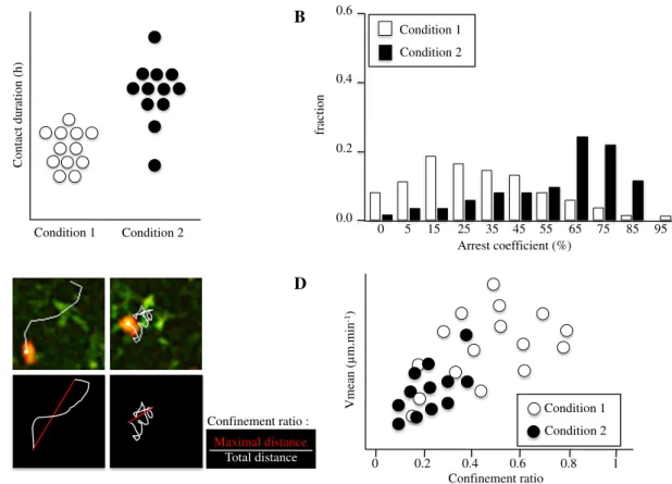 Fig. 1 Different parameters define T cell migratory characteristics.