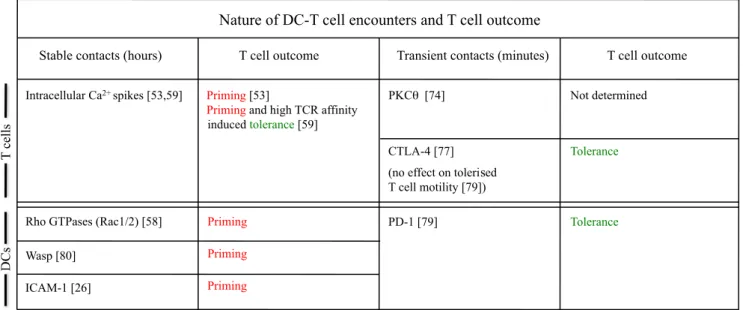Table 1 Molecules and pathways involved in the duration of DC – T cell interactions by 2P microscopy experiments