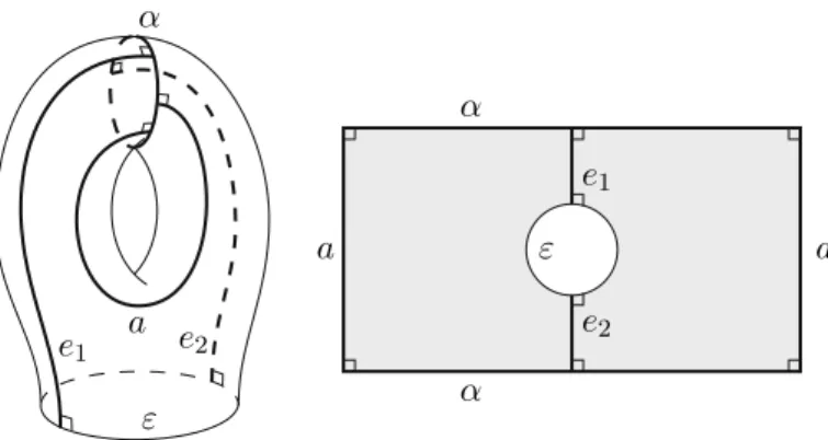 Fig. 6 The torus T cut along α and a