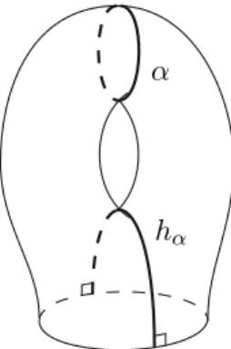 Fig. 5 The height h α associated to α
