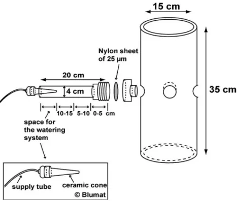 Figure 1. Scheme of a microcosm composed of a central PVC tube and four side arms. A nylon mesh of 25 lm was inserted between each arm and the central tube