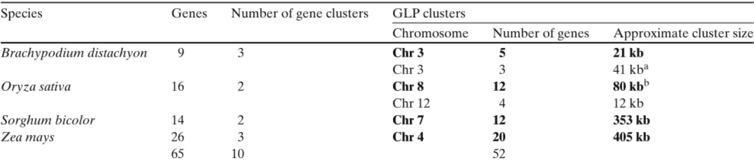 Table 3 Clustering of the genes in the ‘hypothetical grass post-duplication gene’ family (Cluster 22740912) from the Joint Genome Institute (JGI)/Center for Integrative Genomics (CIG) comparative genomics website (http://www.phytozome.net)