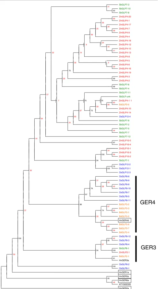 Fig. 3 Maximum Parisomy phylogenetic tree (100 bootstraps with sequence order re-arranging over 100 data sets) of the genes in the