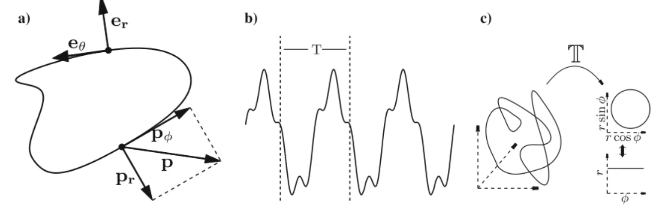 Fig. 1 a Schematic illustration of a limit cycle. It is a closed curve in phase space