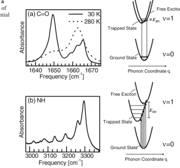 Fig. 2 Absorption spectra of a the C=O and b the N–H band of crystalline ACN and the potential energy surfaces giving rise to these spectra 3000 3100 3200 3300(b) NH Frequency [cm -1 ]Absorbance Ground StateTrapped State Phonon Coordinate q Phonon Coordina