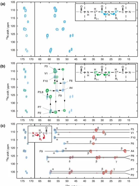 Figure 7. 15 N- 13 C correlation spectra of antamanide. (a) Direct N-C correlation obtained with the pulse sequence of Figure 3a