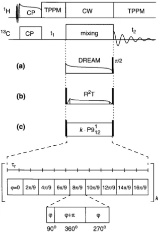 Figure 2. Pulse sequences for homonuclear correlation experi- experi-ments. 13 C polarization is generated by adiabatic-passage  Hart-mann–Hahn cross polarization (APHH CP) with an adiabatic sweep replacing the initial 90 ◦ pulse