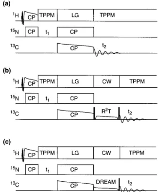 Figure 3. Pulse sequences for 15 N- 13 C correlation experiments used in this work. (a) Direct 15 N- 13 C shift correlation experiment via double APHH CP