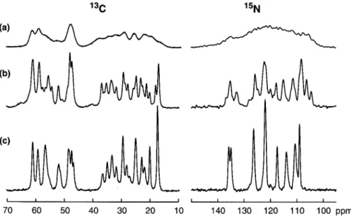 Figure 4. Selection of 13 C and 15 N MAS spectra of antamanide for different sample preparations