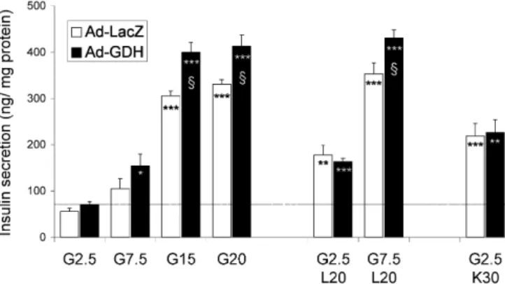 Fig. 3. Insulin secretion in INS-1E cells overexpressing gluta- gluta-mate dehydrogenase (GDH)