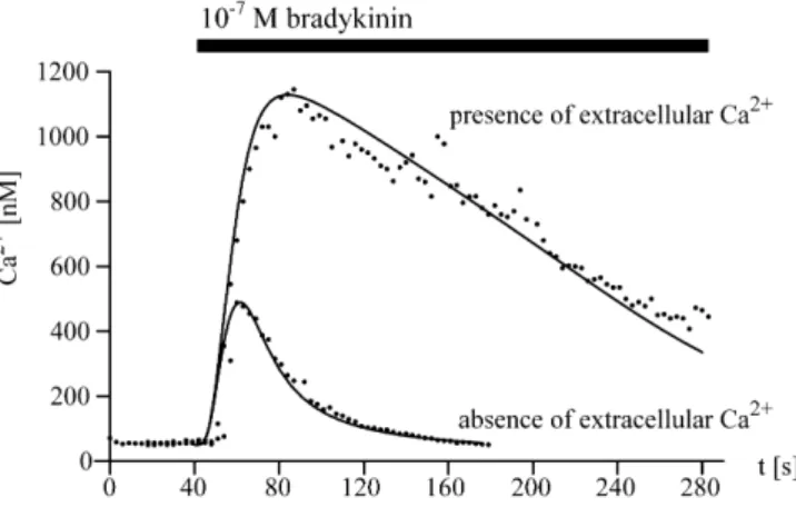 Fig. 2 Calcium dynamics stimulated by 100 nM bradykinin as a function of time, both in the presence and absence of extracellular calcium