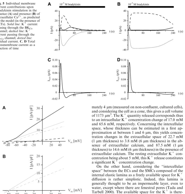 Fig. 5 Individual membrane current contributions upon bradykinin stimulation in the absence (A) and presence (B) of extracellular Ca 2+ , as predicted by the model (in the presence of EETs)