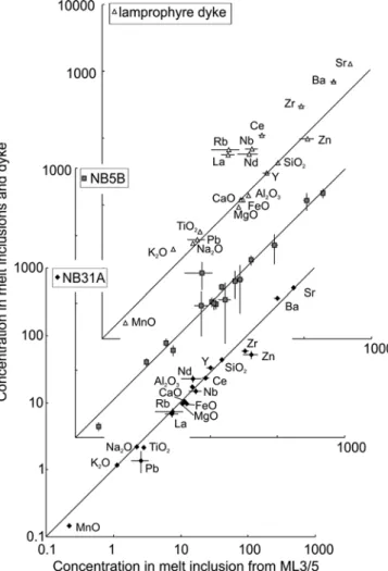 Fig. 6 Comparison between element concentrations in maﬁc melt inclusions trapped in amphibole from an intrusion (ML3/5) and from extrusive rocks of various ages (NB5B and NB31A)