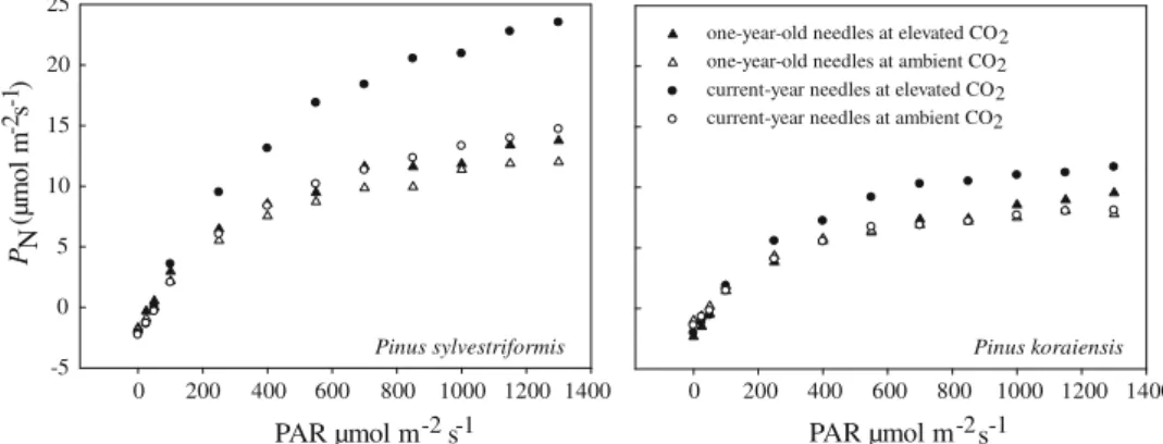 Fig. 2 Responses of net photosynthetic rate (P N ) to photosyntheti- photosyntheti-cally active radiation (PAR) of 1-year-old (closed triangles, open triangles) and current-year needles (closed circles, open circles) of Pinus sylvestriformis and P