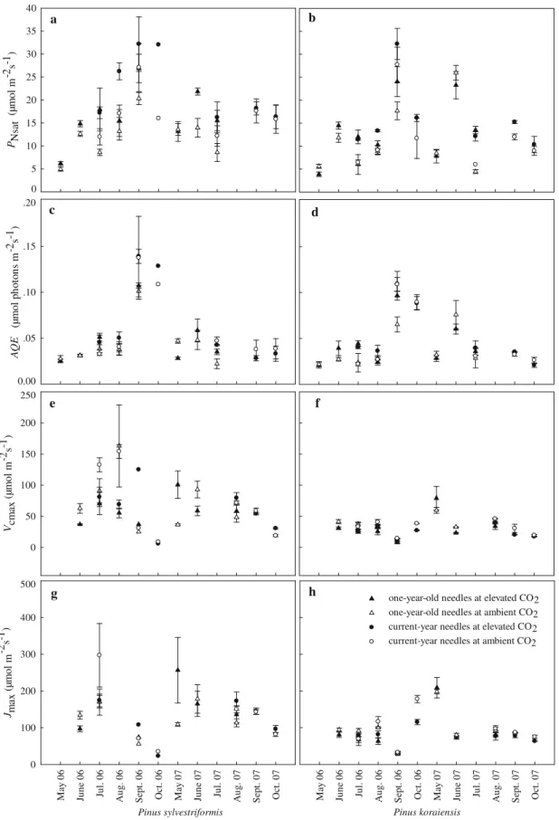 Fig. 3 Seasonal dynamics of light-saturated photosynthetic rate (P Nsat ) (a, b), apparent quantum yield (AQE) (c, d), maximum carboxylation efficiency (V cmax ) (e, f) and maximum electron transport rate (J max ) (g, h) in 1-year-old (open triangles, clos