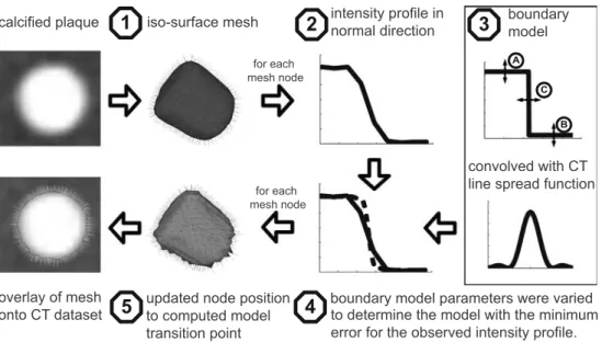 Fig. 1 ACCURATUM uses a mesh-based representation for the calcified plaque to determine the position for each mesh node that most likely represents the boundary between the plaque and the surrounding tissue