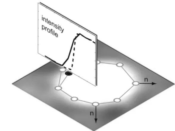 Fig. 2 The intensity profile is computed for each node along its normal direction n. The position of the node is updated to the boundary point (filled circle) obtained by fitting a boundary model (dotted line) to the measured intensity values (solid line) 