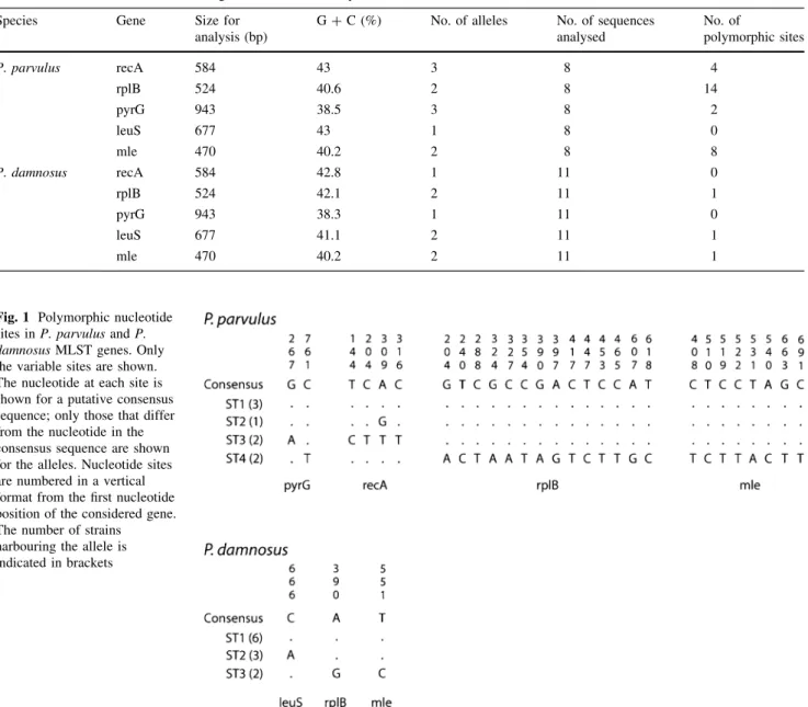 Table 3 Characteristics of the marker genes used in this study