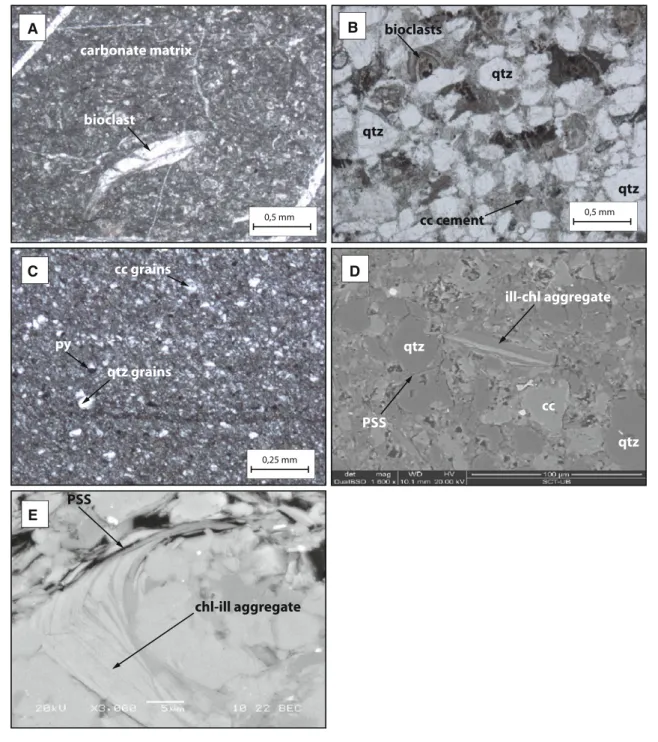Fig. 4 Optical (a, b, c) and backscattered scanning electron micro- micro-graphs (d and e) of thin sections