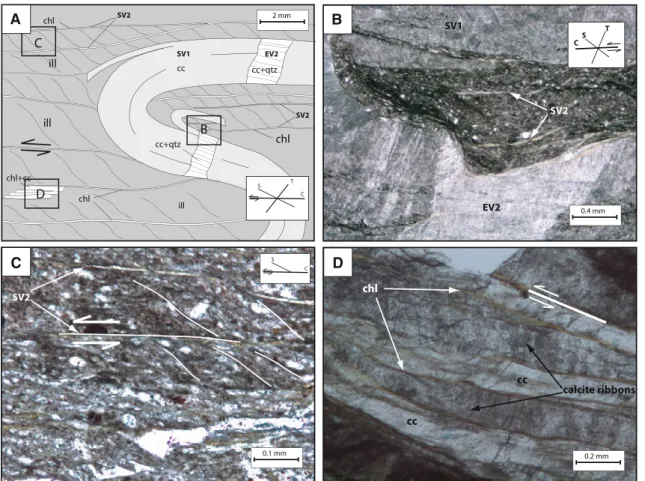 Table 1 Bulk-rock mineralogy determined by XRD