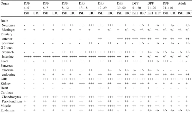 Table 1 Semiquantitative grading of the number of parenchymal cells demonstrated by IGF-I in situ hybridization (ISH) and IGF-I immunohistochemistry (IHC) Organ DPF 4 – 5 DPF6–7 DPF8– 12 DPF13– 18 DPF19– 29 DPF30– 50 DPF51– 70 DPF71– 90 DPF91– 140 Adult IS