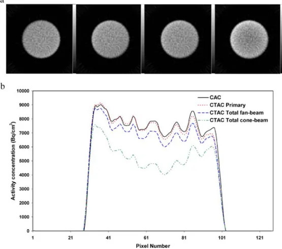 Figure 4b shows central profiles of activity concentration from the reconstructed images