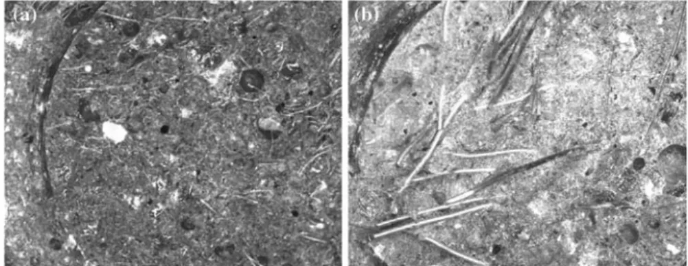 Fig. 15 Photo of the fracture surface of the PVA-FRC (a) and S-FRC specimen (b)