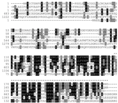 Fig. 2 RNA-blot analysis of the AtDCL gene. A 10-lg sample of total RNA from each organ was loaded in each lane