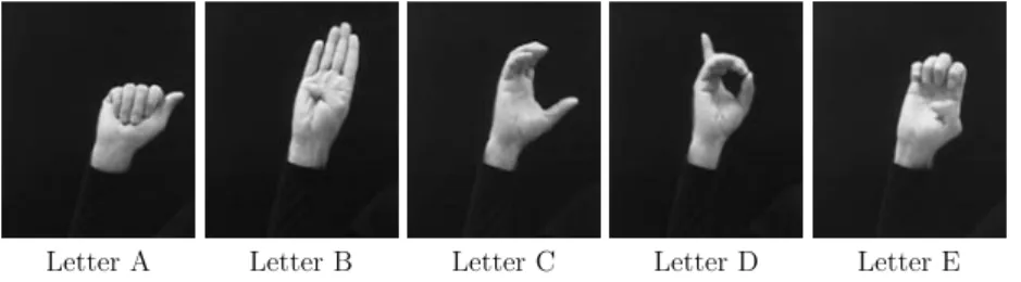 Fig. 6 Sample images (and corresponding letter/behavior classes) from training sequences used in our application