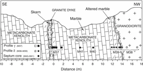 Fig. 2 Schematic cross-section of the studied metacarbonate xenolith. It is enclosed in a granodioritic intrusion and crosscut by a metre-scale dyke of granite