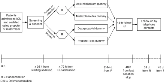 Fig. 1 Schematic diagram of study protocol