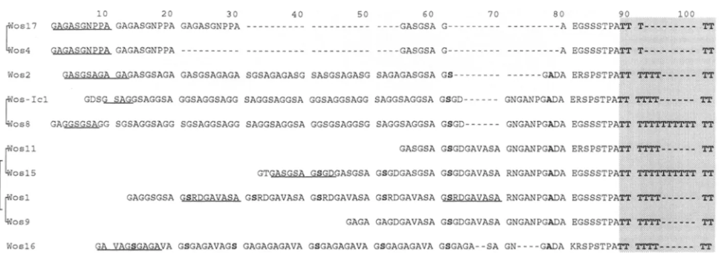 Fig.  1.  Alignment of 10 amino acid sequences translated from nucleotide sequences of new Wos alleles of the 3D7 allelic family of MSA2