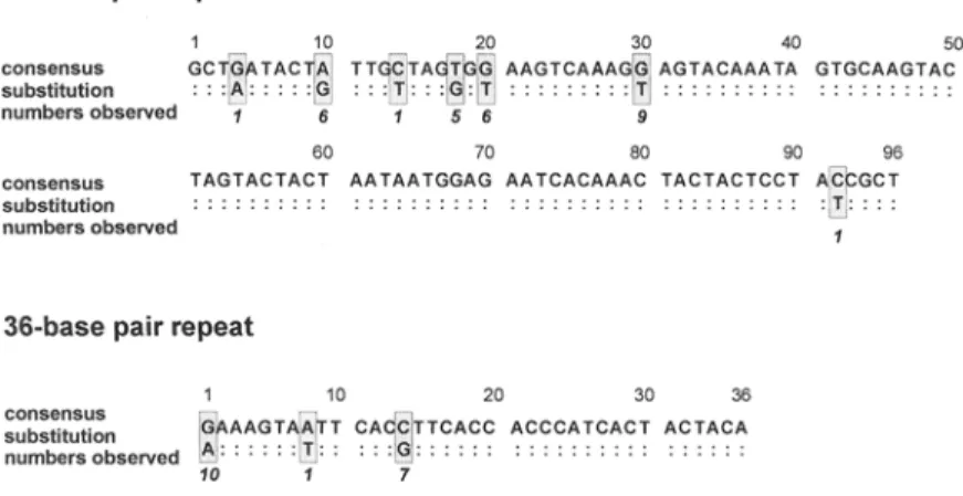 Fig. 3.  Sequence comparison between repeats of  the  FC27  allelic family. The consensus sequence,  the positions of nucleotide substitutions (shaded),  and the observed numbers of substitution are  shown for the 96 bp and the 36 bp repeat