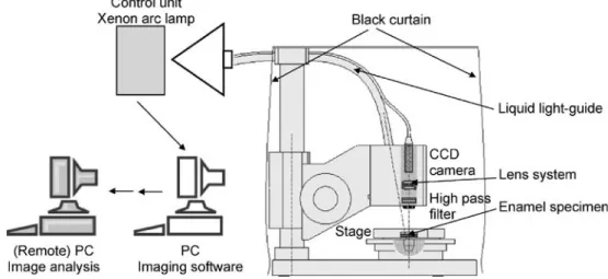 Fig. 1 Experimental setup