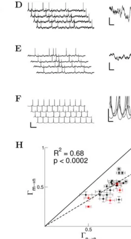 Fig. 2 The predictions of the Spike Response Model (SRM) are com- com-pared to electrophysiological measurements