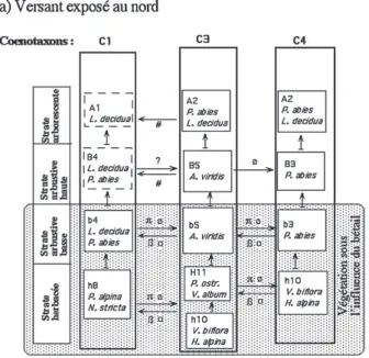 Fig. 4. Modles qualitatifs hypothtiques de la dynamique de la vgtation sur les versants nord (a) et ouest (b) de l4alpage du Larzay