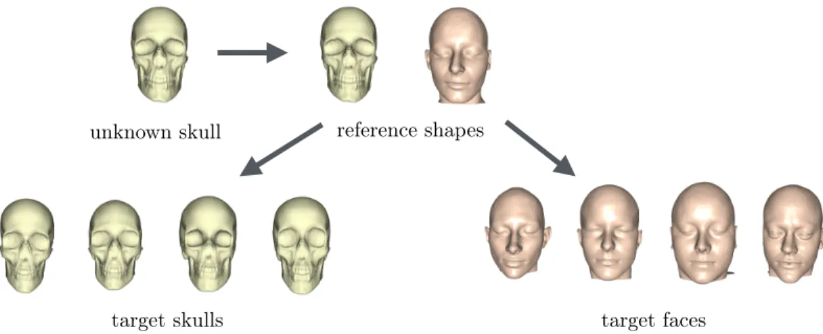Figure 12 – Matching skull and face templates within the database