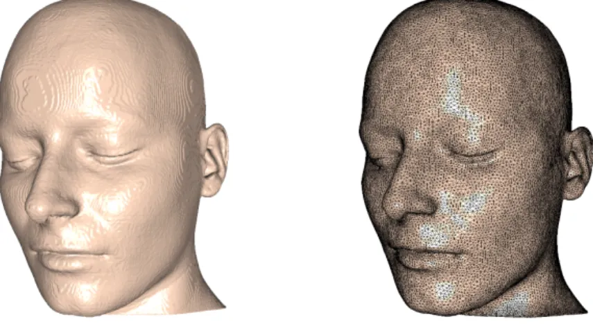 Figure 5 – Left: 3d mesh of the face after segmentation (1286542 triangles). Right: 3d mesh of the face after geometric remeshing (90949 triangles).