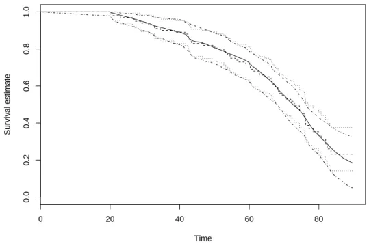Figure 4: Estimates of the survival function for the piecewise constant hazard scenario.