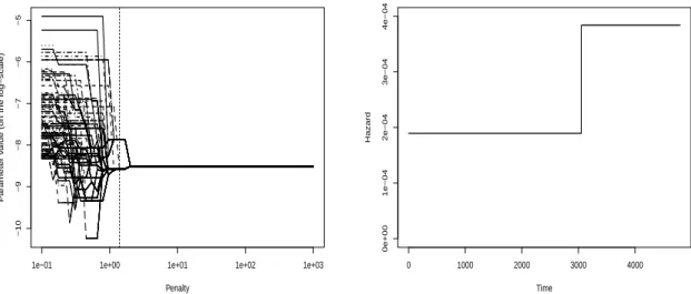 Figure 7: Regularization for the choice of the penalty term using the BIC criterion on the pbc data (left panel)