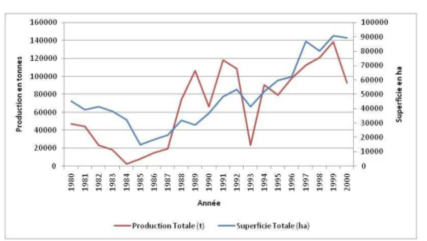 Figure 1: Variation de la production et de la superficie de riz 