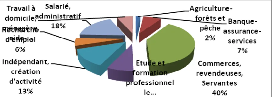 Figure 4 : Répartition socioprofessionnelle des migrantes  Source : Données de terrain, décembre 2012 