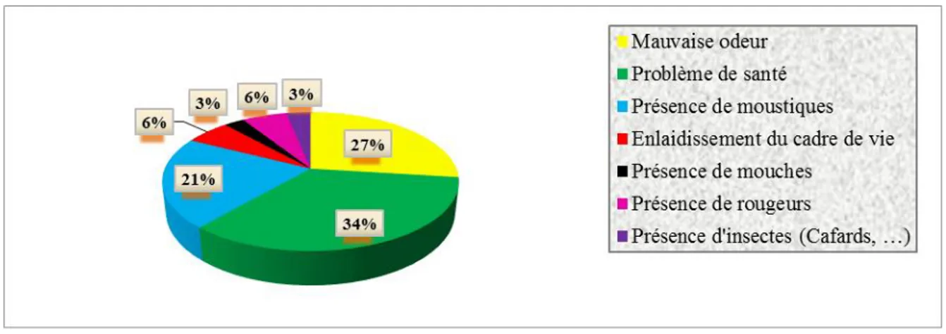 Figure  n°5 :  Répartition  des  chefs  de  ménages  enquêtés  selon  les  nuisances  provoquées  par  la  présence des eaux usées 