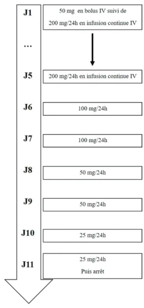 Figure 1. Schéma thérapeutique Abréviations : IV : intraveineux; J : jour