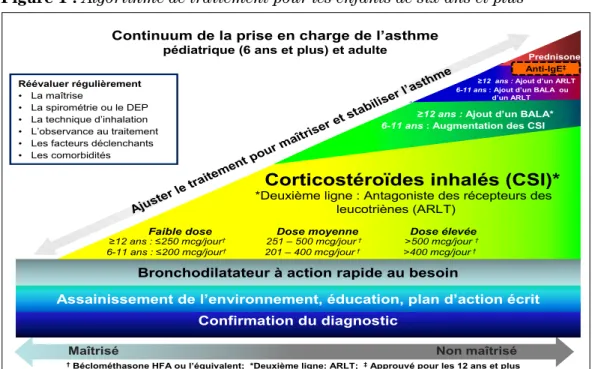 Figure 1)  L’asthme intermittent très léger peut être traité à l’aide de bêta 2  agonistes à action rapide (BAAR) pris au besoin